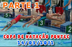 Copa de Nata