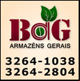 BAG Armaz